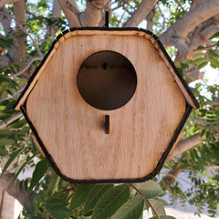Honeycomb Birdhouse DIY Kit
