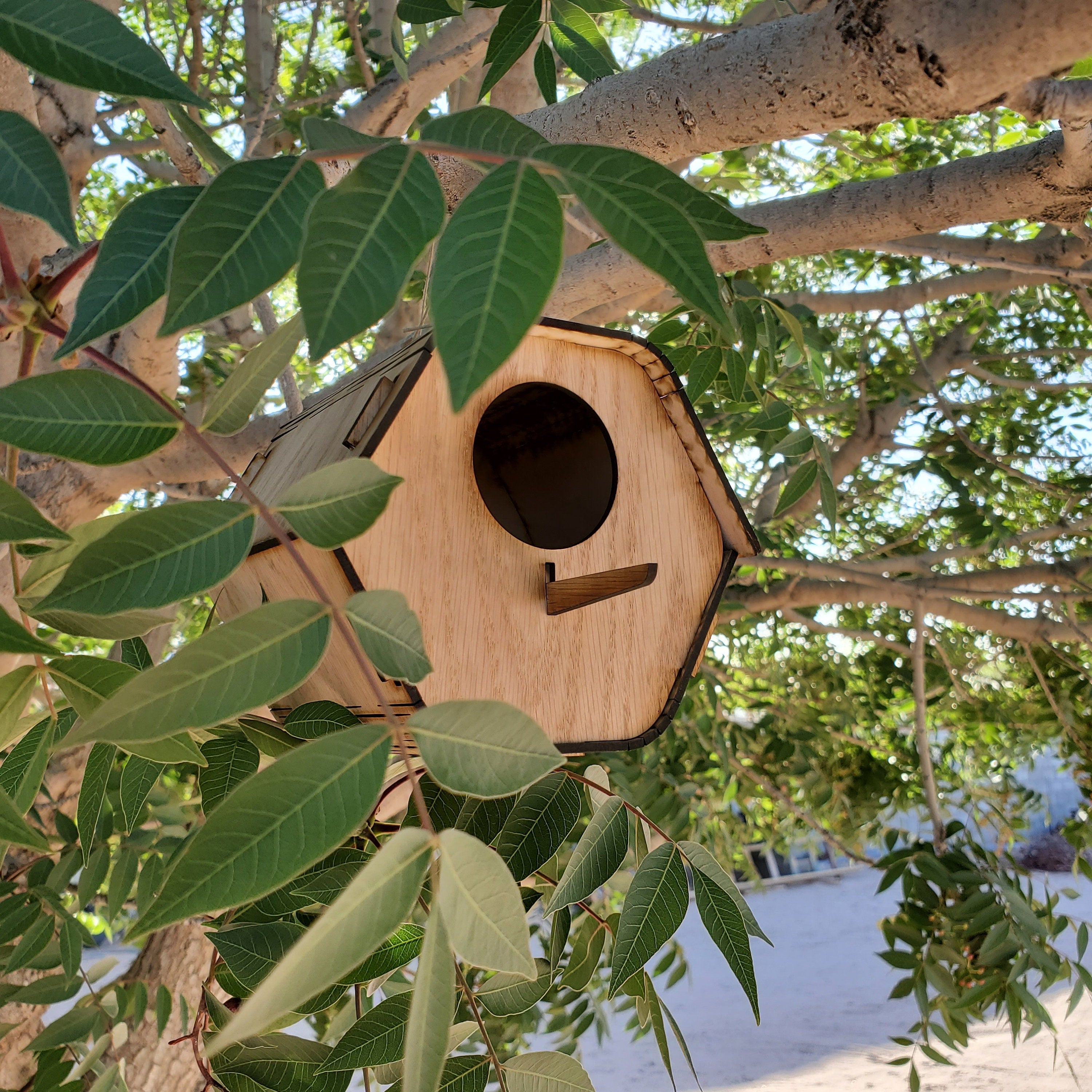 Honeycomb Birdhouse DIY Kit